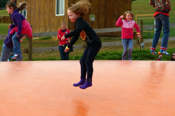Amber in the air